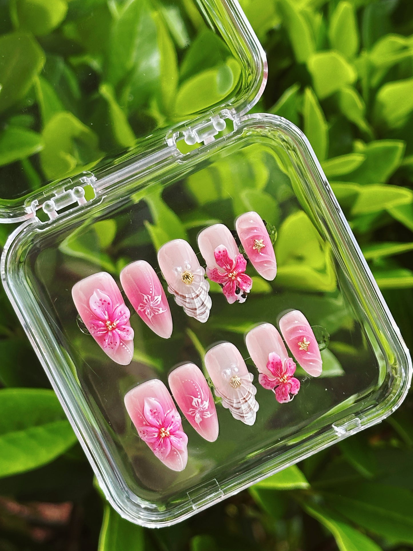 Coral Blossom