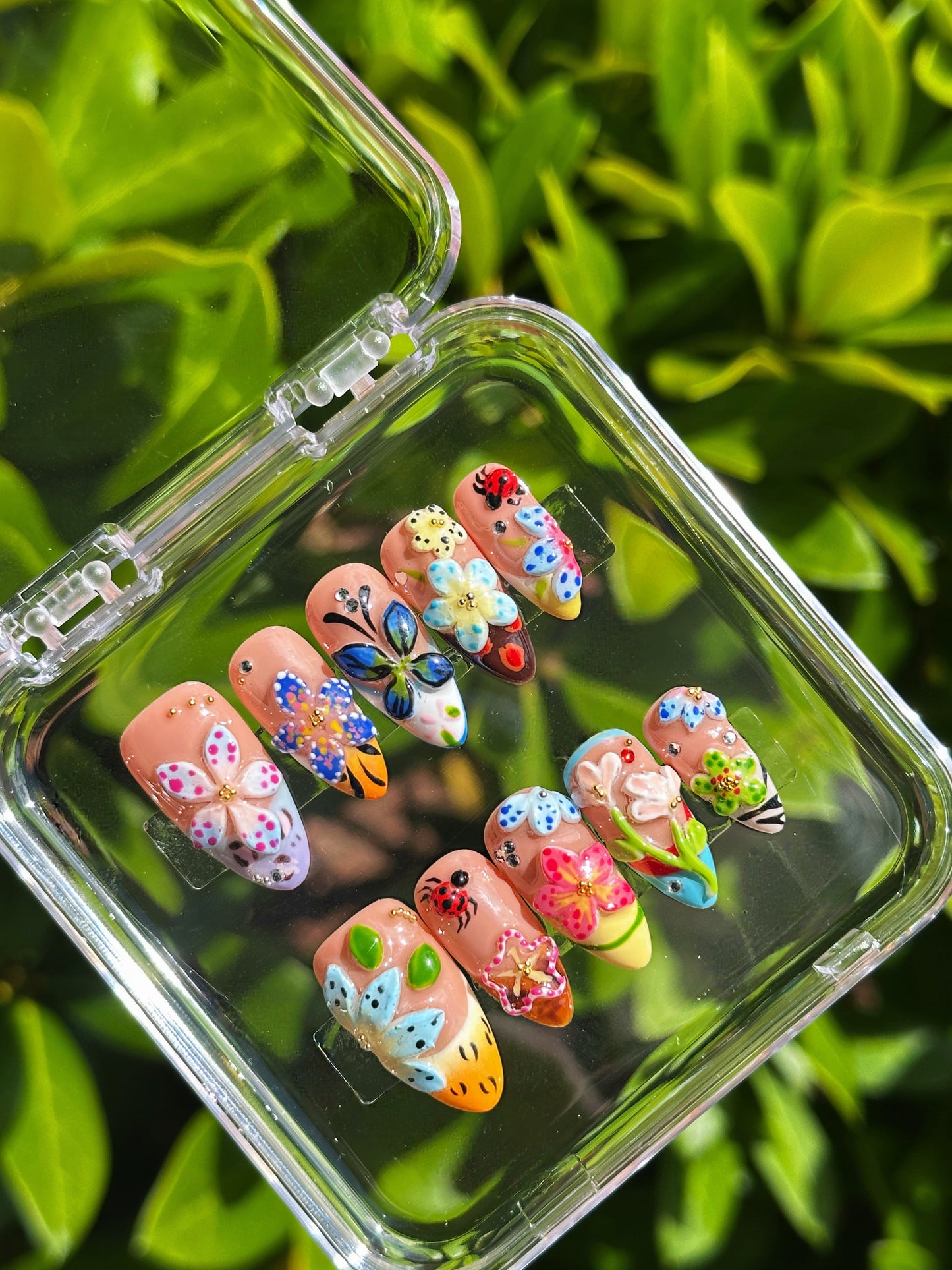 Ladybug Garden