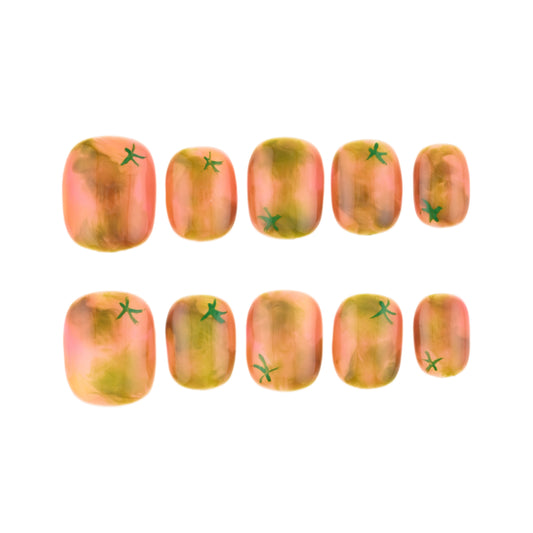 Immature Tomato